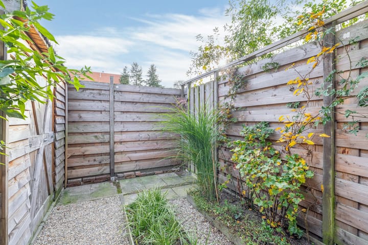 Foto 21 van Vuurdoorn 6