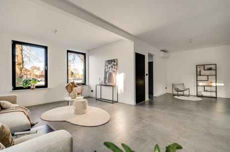 Steer 5 tertiary image