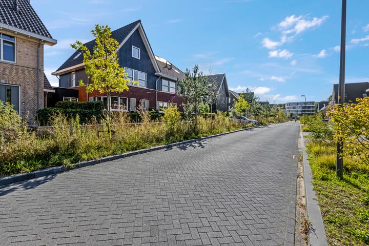 Foto 40 van Piet Romboutlaan 39