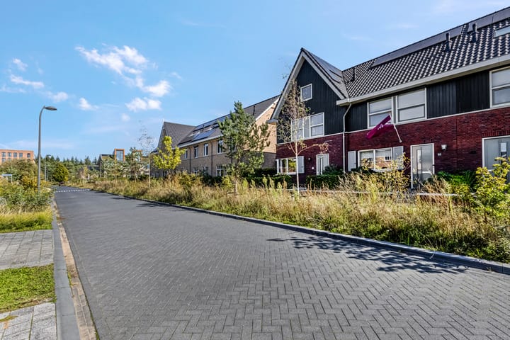 Foto 41 van Piet Romboutlaan 39