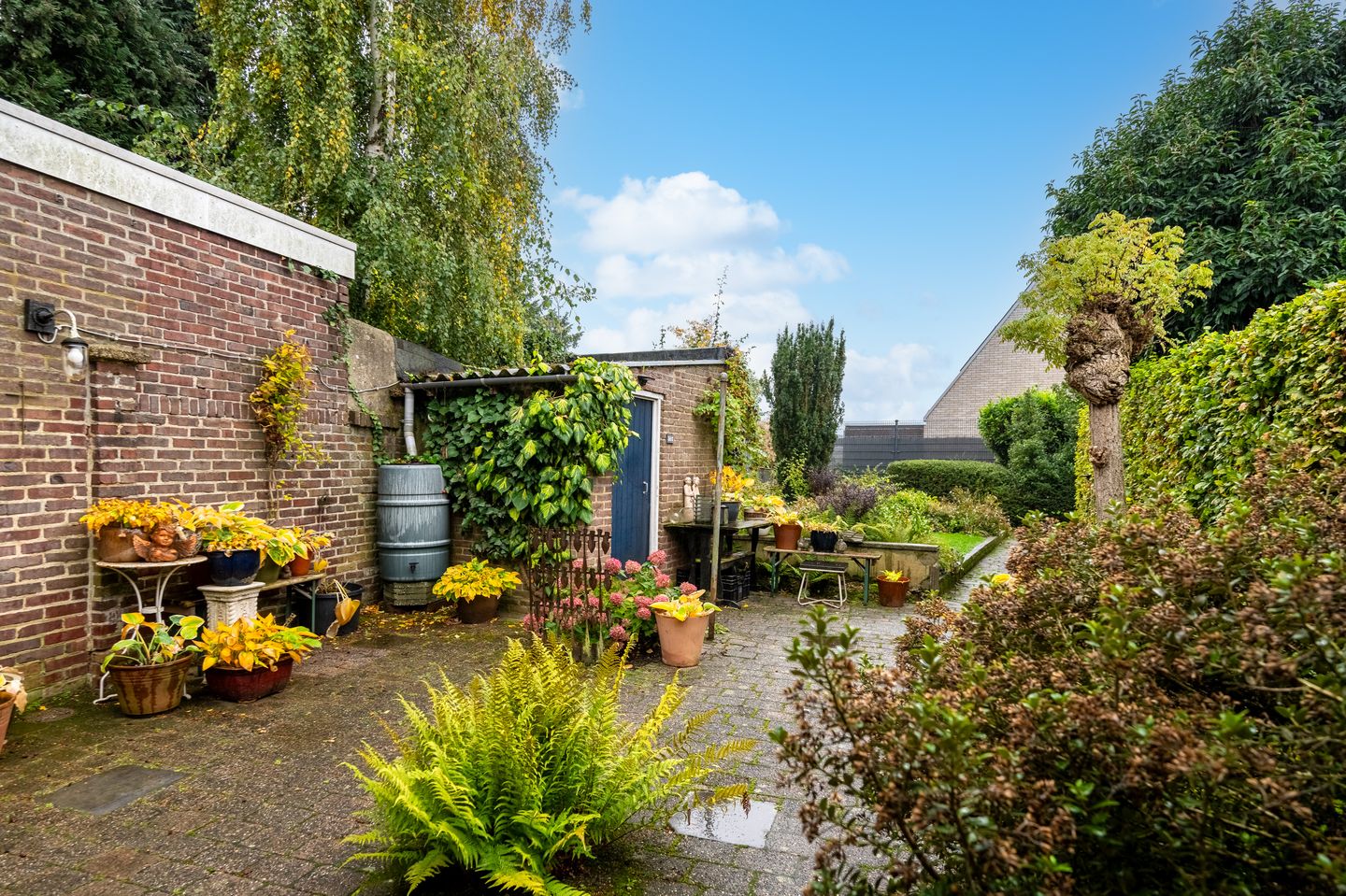 Foto 25 van St.Pieterstraat 71