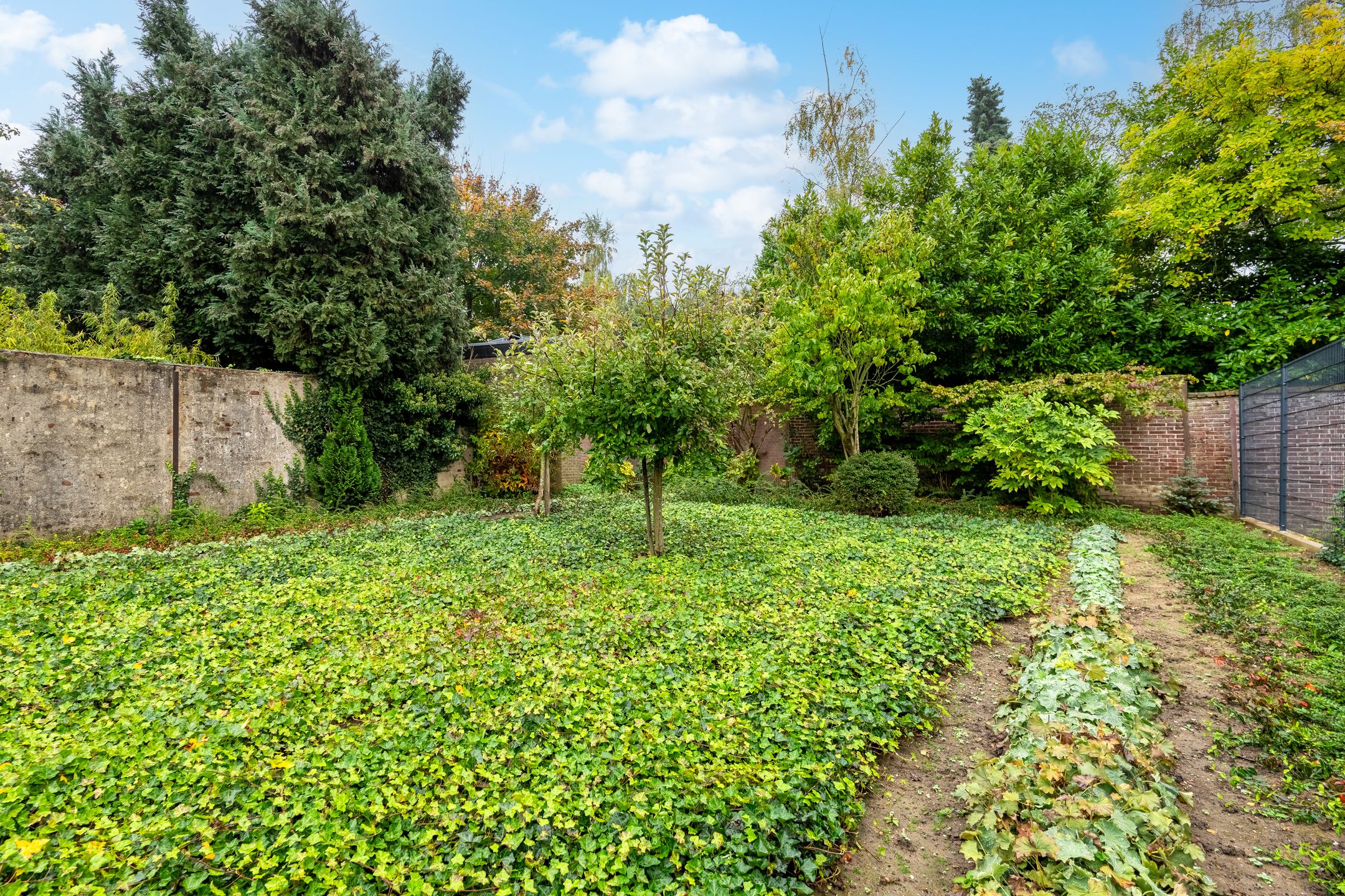 Foto 30 van St.Pieterstraat 71