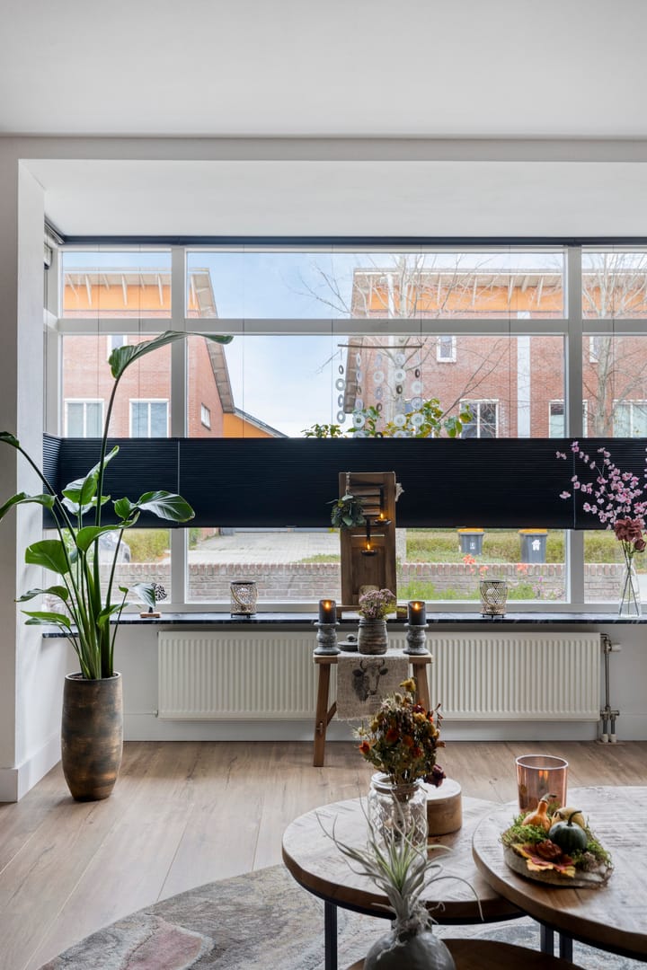 Foto 16 van Rosa Spierweg 37