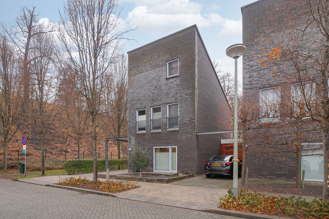 Foto 32 van Limburgiaplantsoen 31