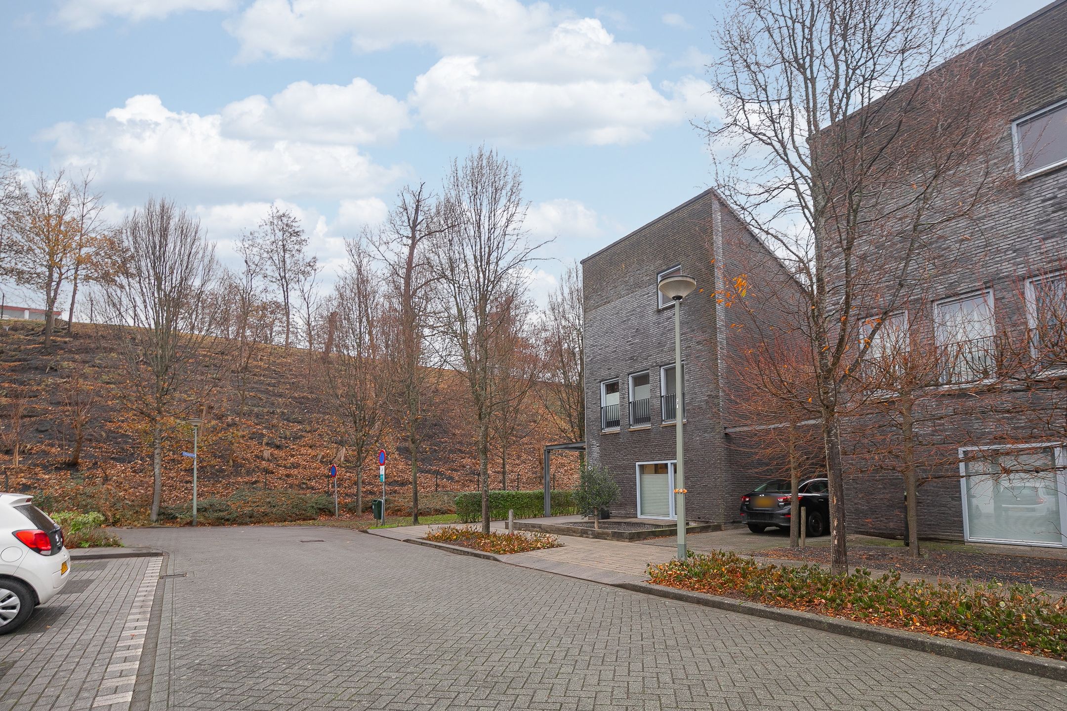 Foto 33 van Limburgiaplantsoen 31