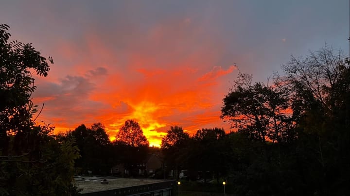 Foto 22 van Florijnruwe 108-D