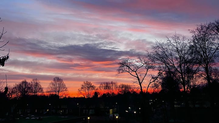 Foto 23 van Florijnruwe 108-D