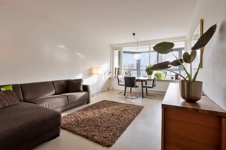 Florijnruwe 108-D secondary image