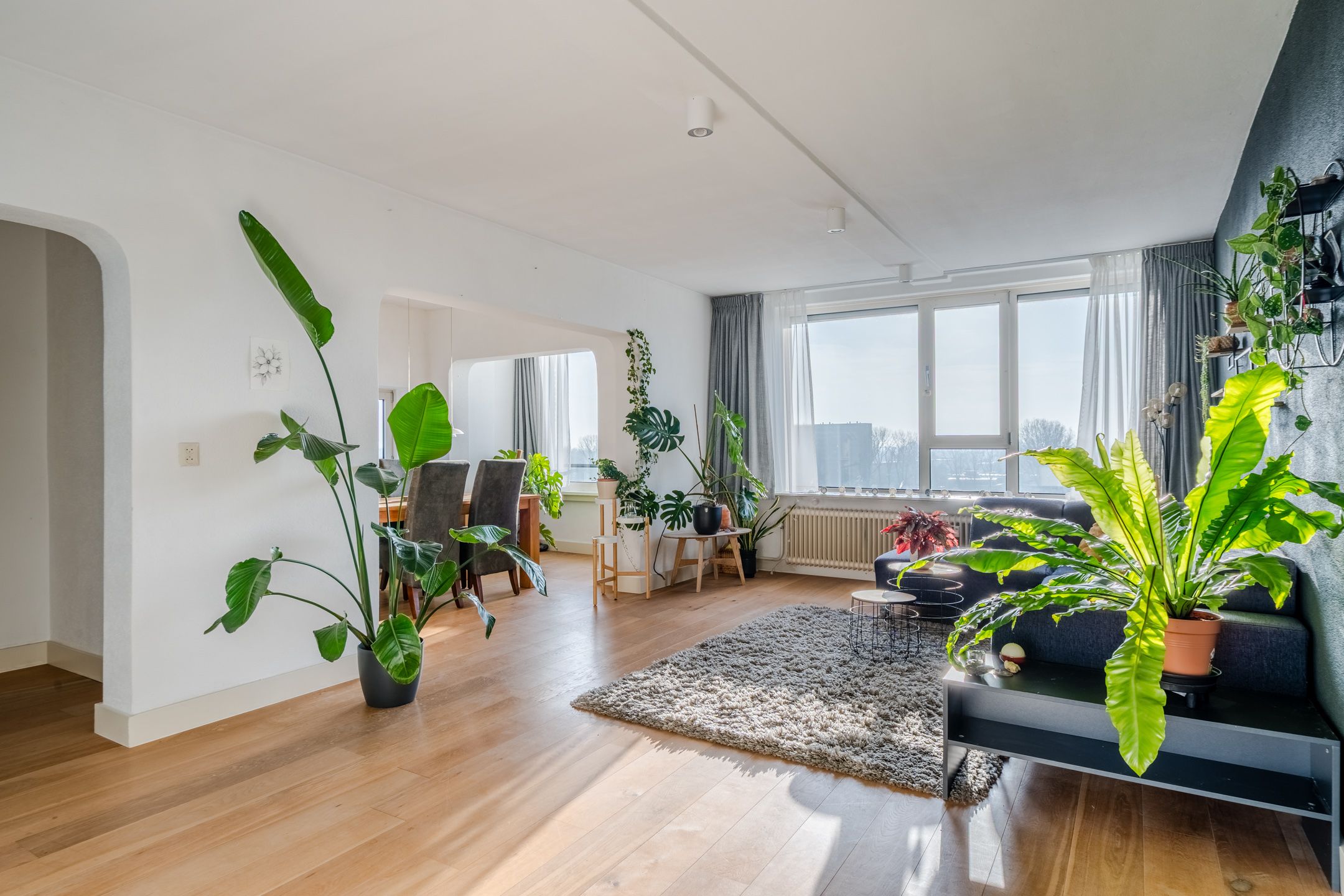 Buying a house in The Netherlands., Jan van Goyenstraat 268