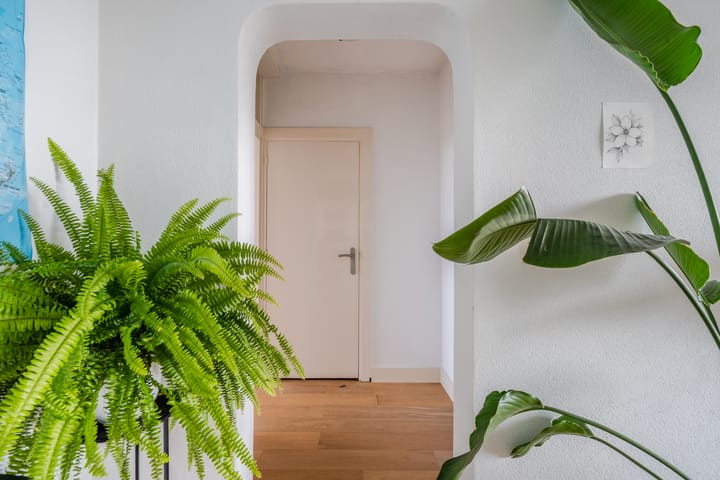 Foto 25 van Jan van Goyenstraat 268