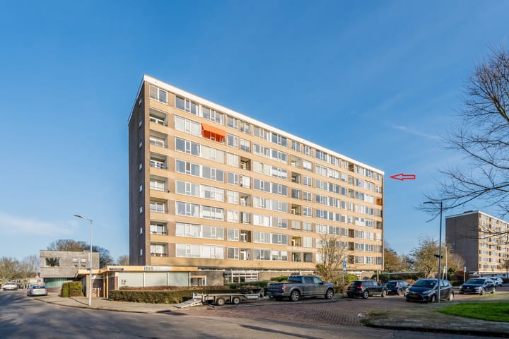 Foto 29 van Jan van Goyenstraat 268