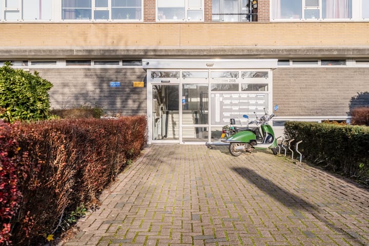 Foto 31 van Jan van Goyenstraat 268
