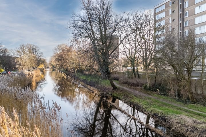 Foto 35 van Jan van Goyenstraat 268