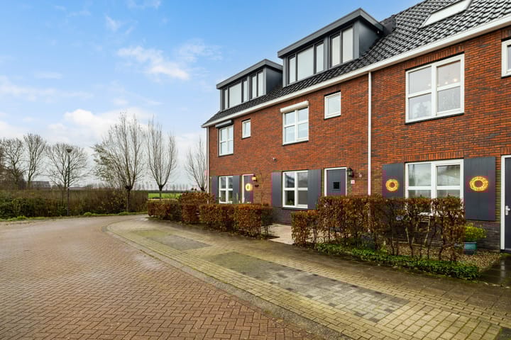 Foto 6 van Zeevliet 14