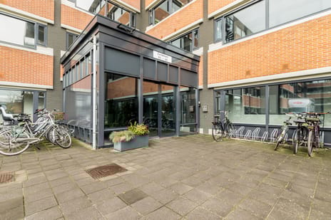 Zandsteen 74 tertiary image