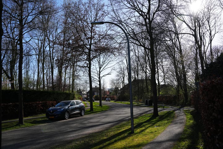 Foto 2 van Boswinde 135