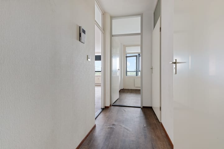 Foto 10 van Laan van Vollenhove 348