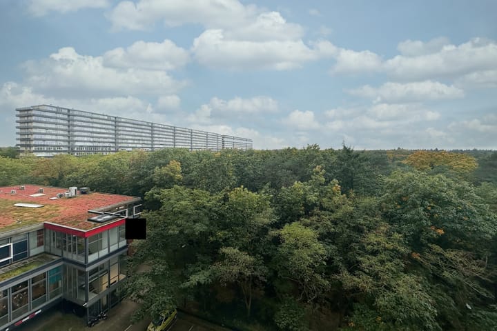 Foto 17 van Laan van Vollenhove 348