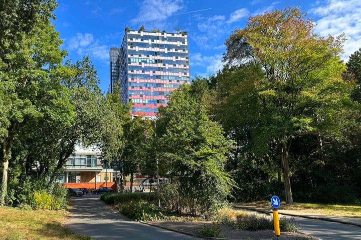 Foto 4 van Laan van Vollenhove 348