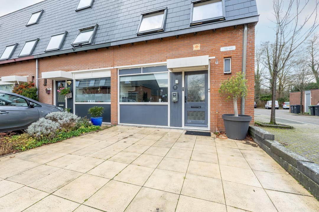 Photo 7 of Speenkruid 50