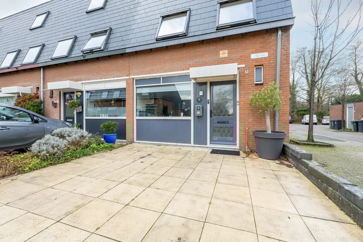 Foto 7 van Speenkruid 50