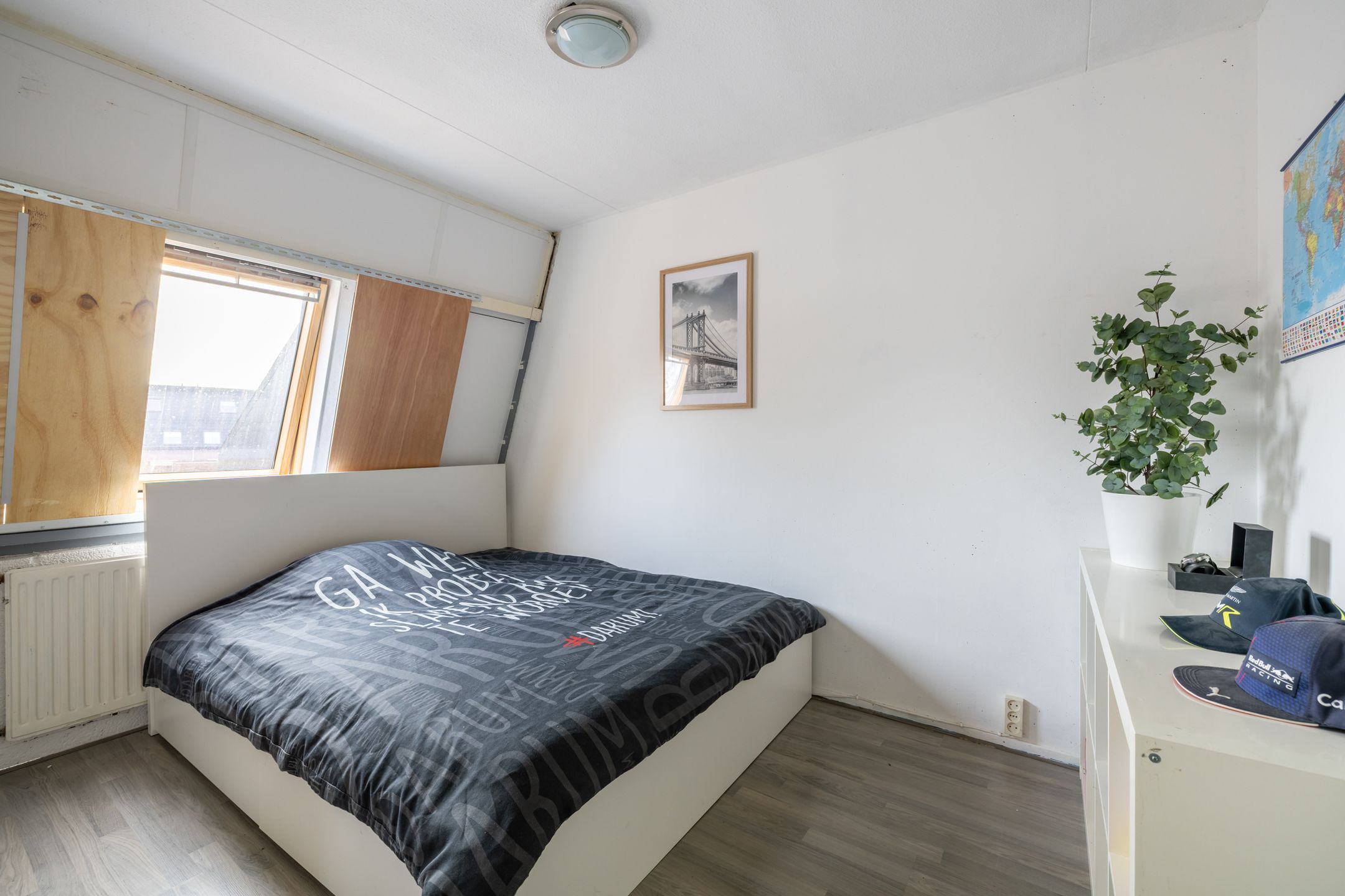 Photo 24 of Speenkruid 50