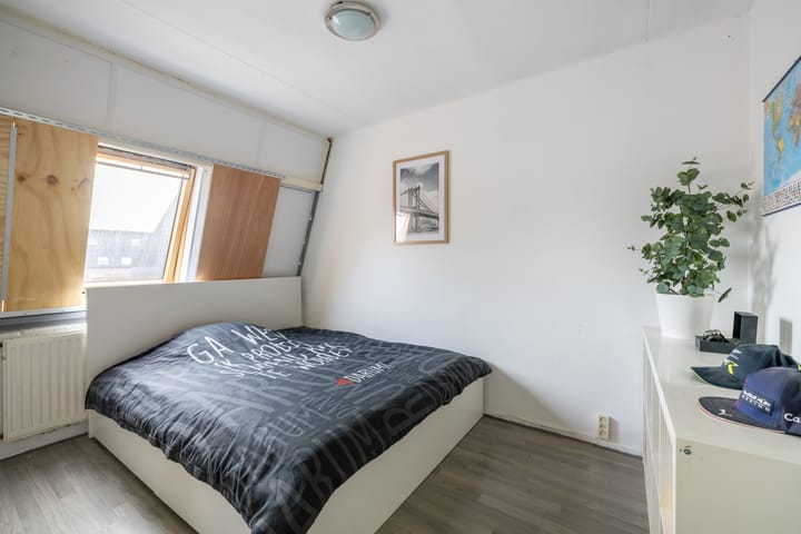 Foto 24 van Speenkruid 50