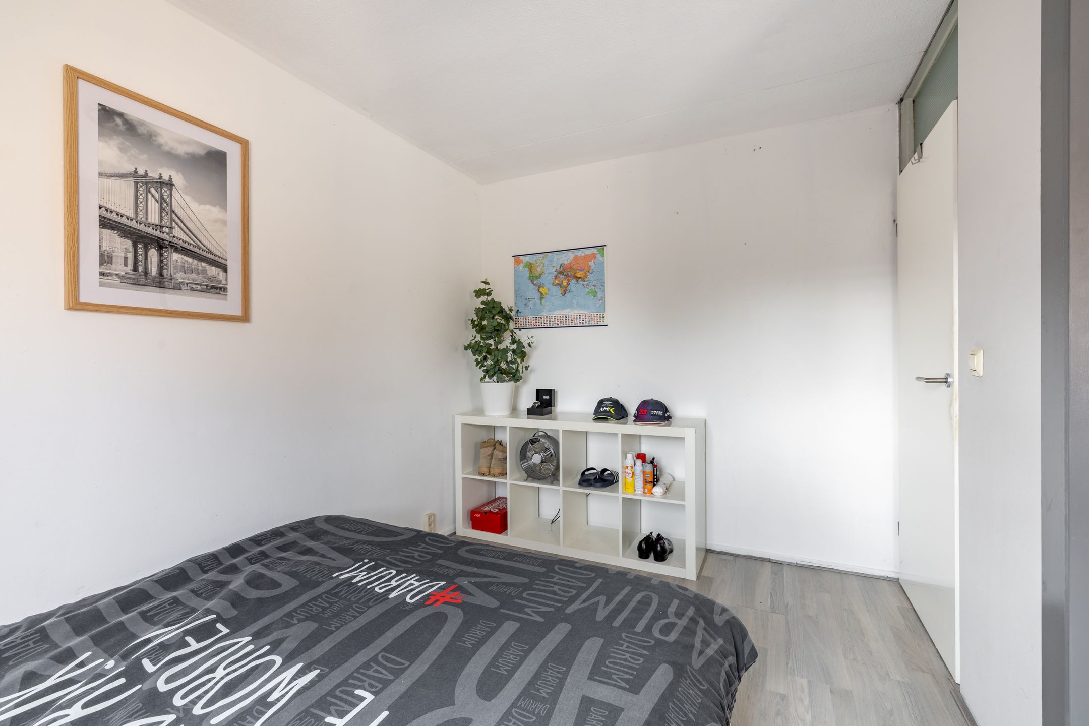 Photo 27 of Speenkruid 50