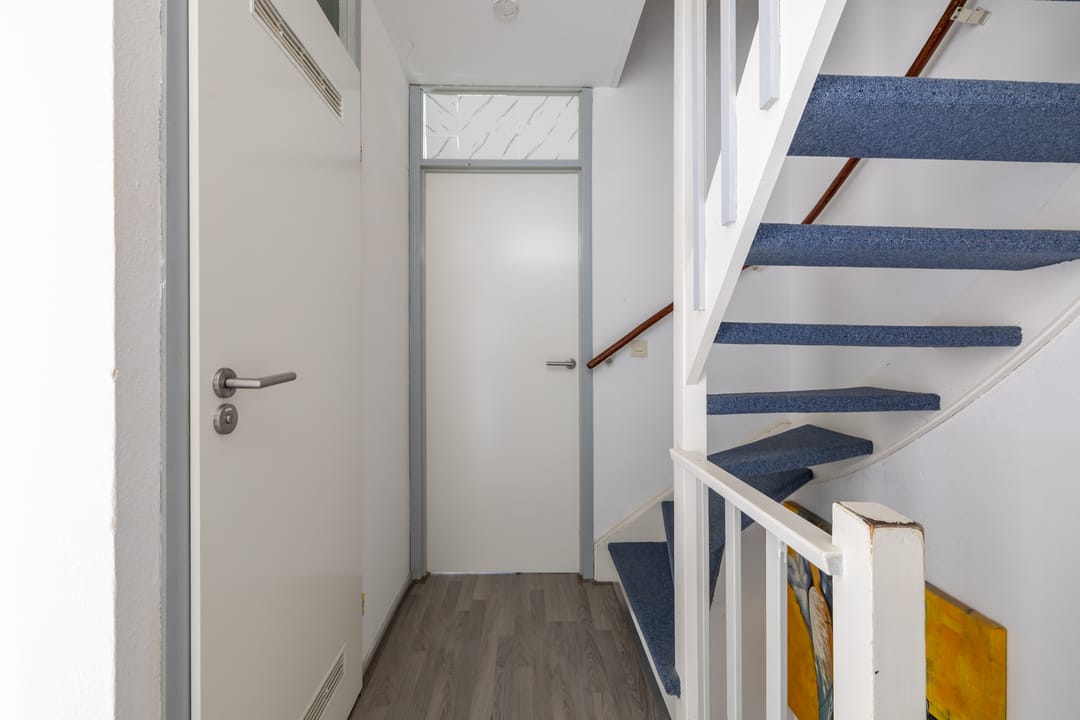 Photo 32 of Speenkruid 50