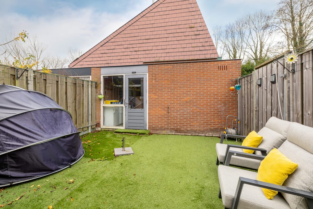 Photo 41 of Speenkruid 50