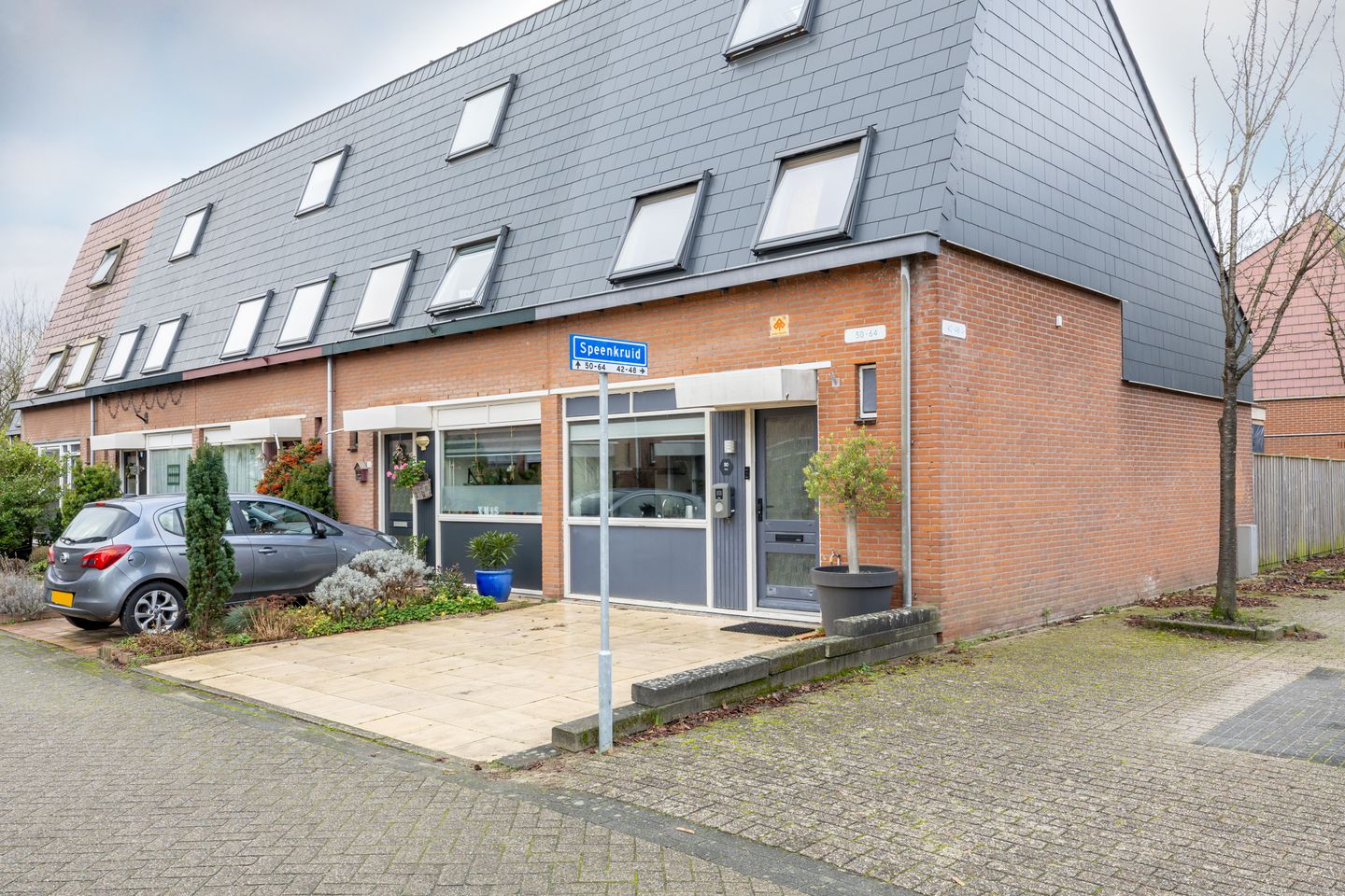 Photo 44 of Speenkruid 50