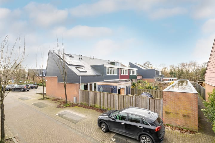 Foto 46 van Speenkruid 50