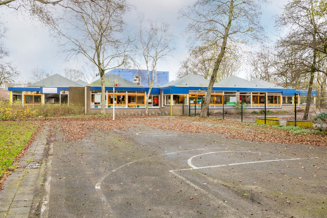 Photo 47 of Speenkruid 50