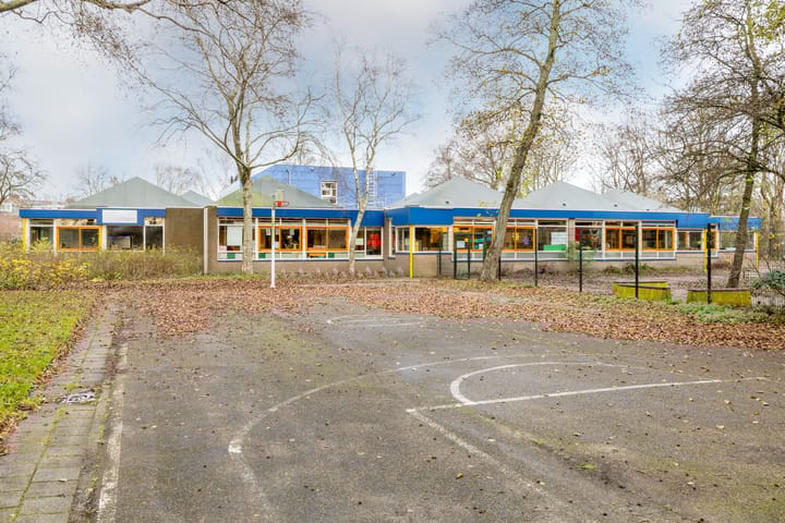 Foto 47 van Speenkruid 50