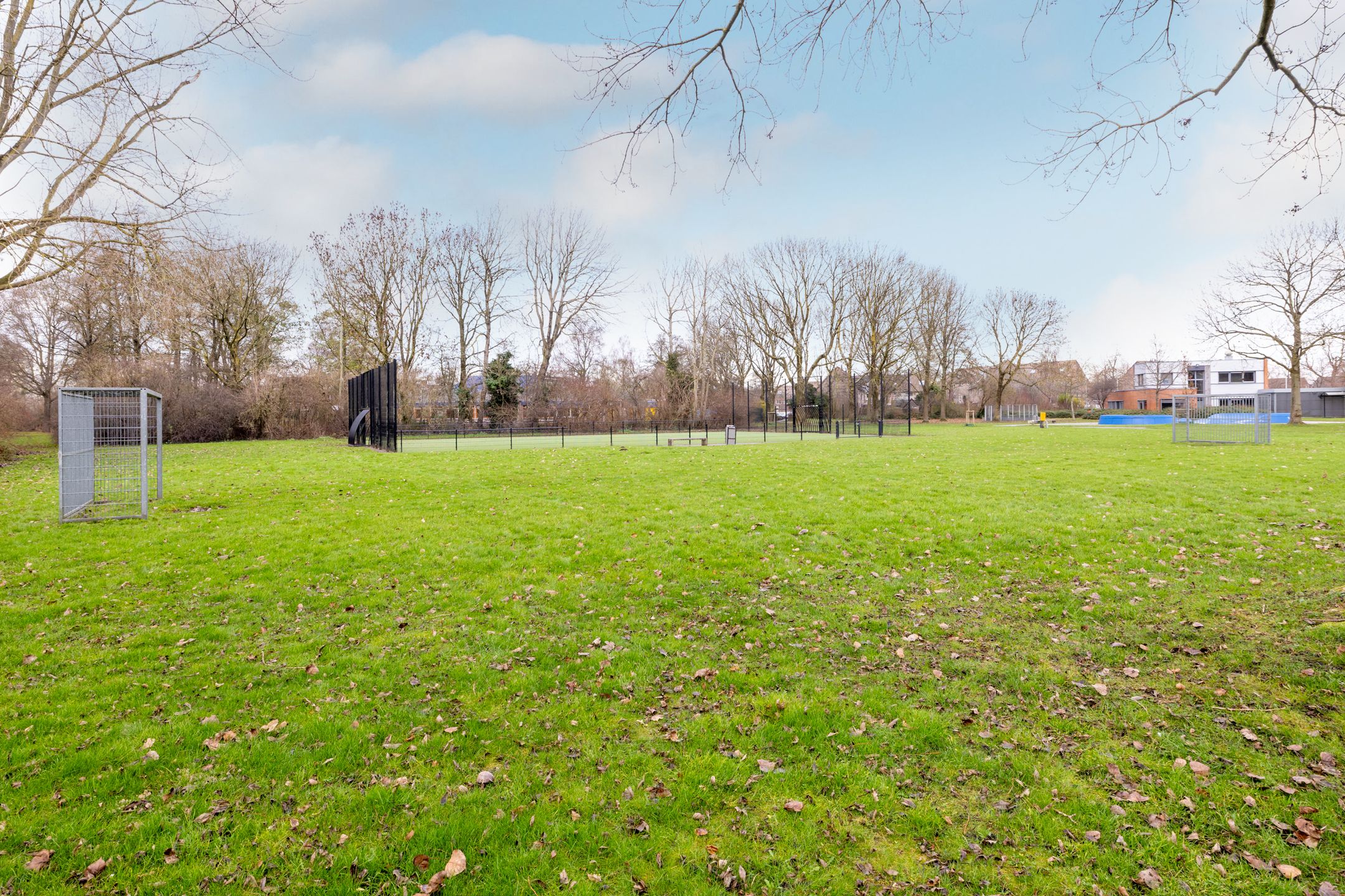 Photo 48 of Speenkruid 50