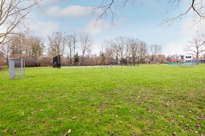 Foto 48 van Speenkruid 50