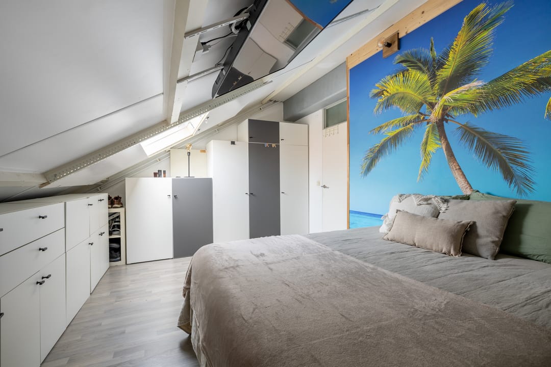 Photo 23 of Speenkruid 50