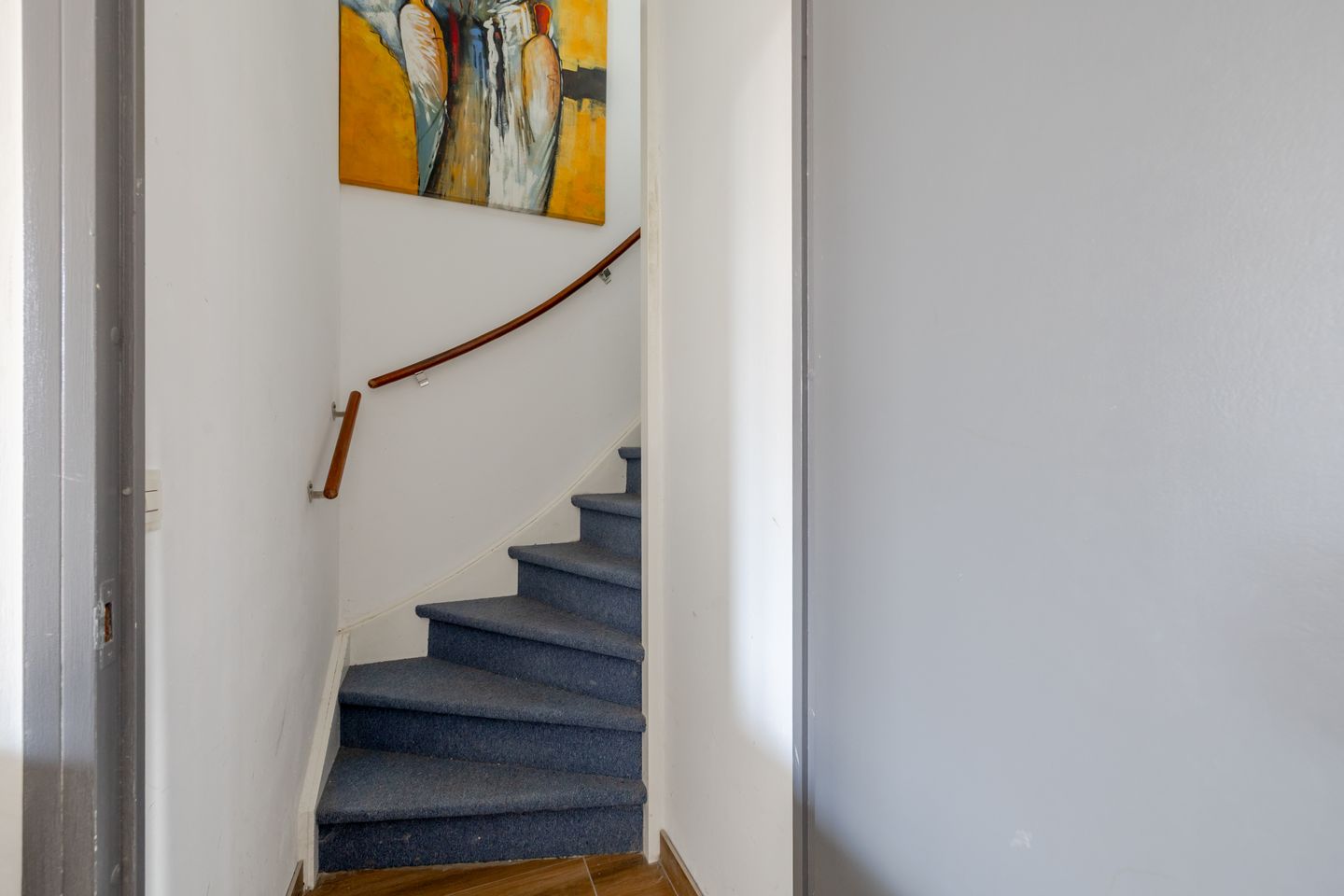 Photo 20 of Speenkruid 50