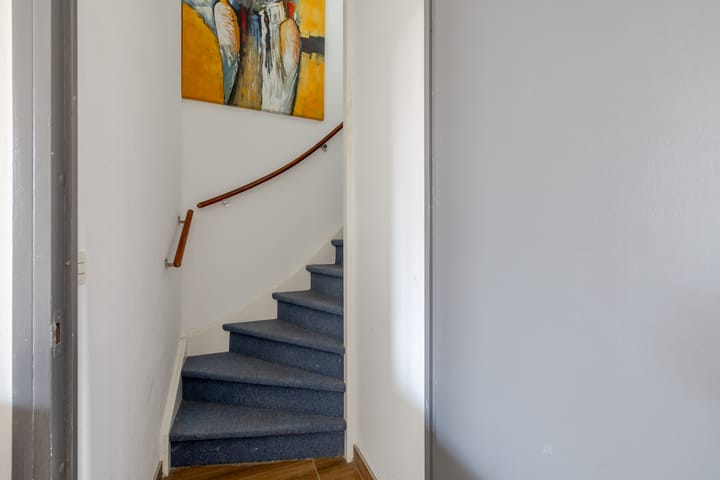 Foto 20 van Speenkruid 50