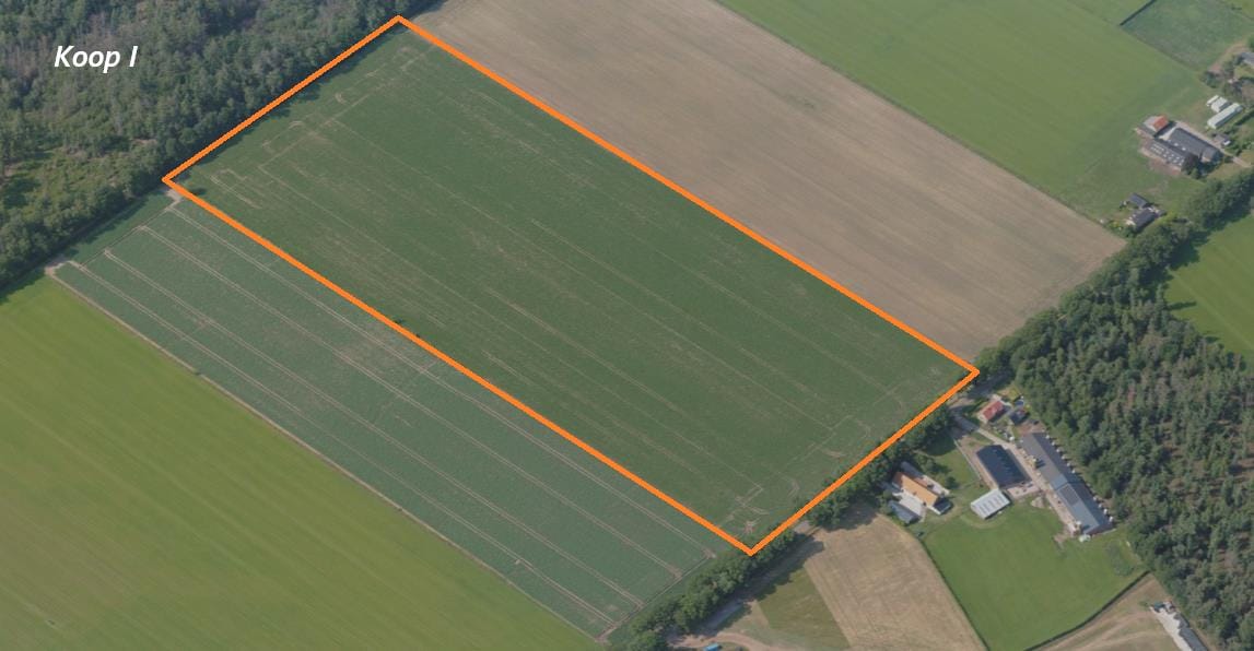 View photo 4 of Vlaamseweg & Peelven