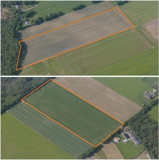 View photo 2 of Vlaamseweg & Peelven