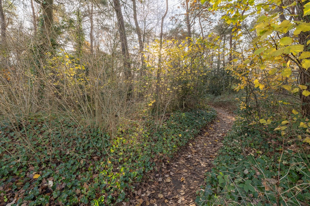 Foto 46 van Groenlinglaan 30