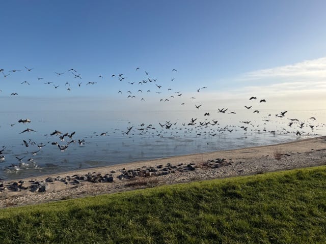 Foto 24 van IJsselmeerdijk 8