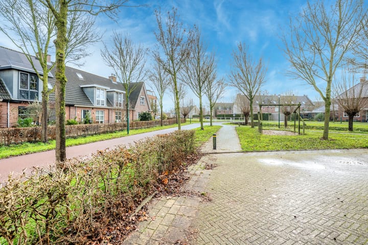 Foto 50 van Kalksteen 1