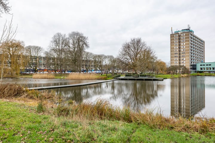 Foto 7 van Vondellaan 394