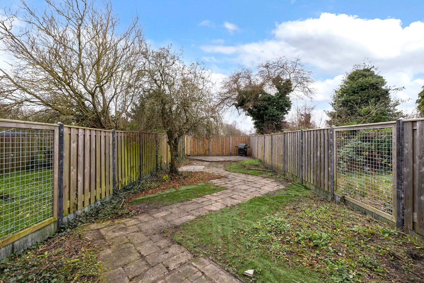 Foto 10 van Kogge 11 69