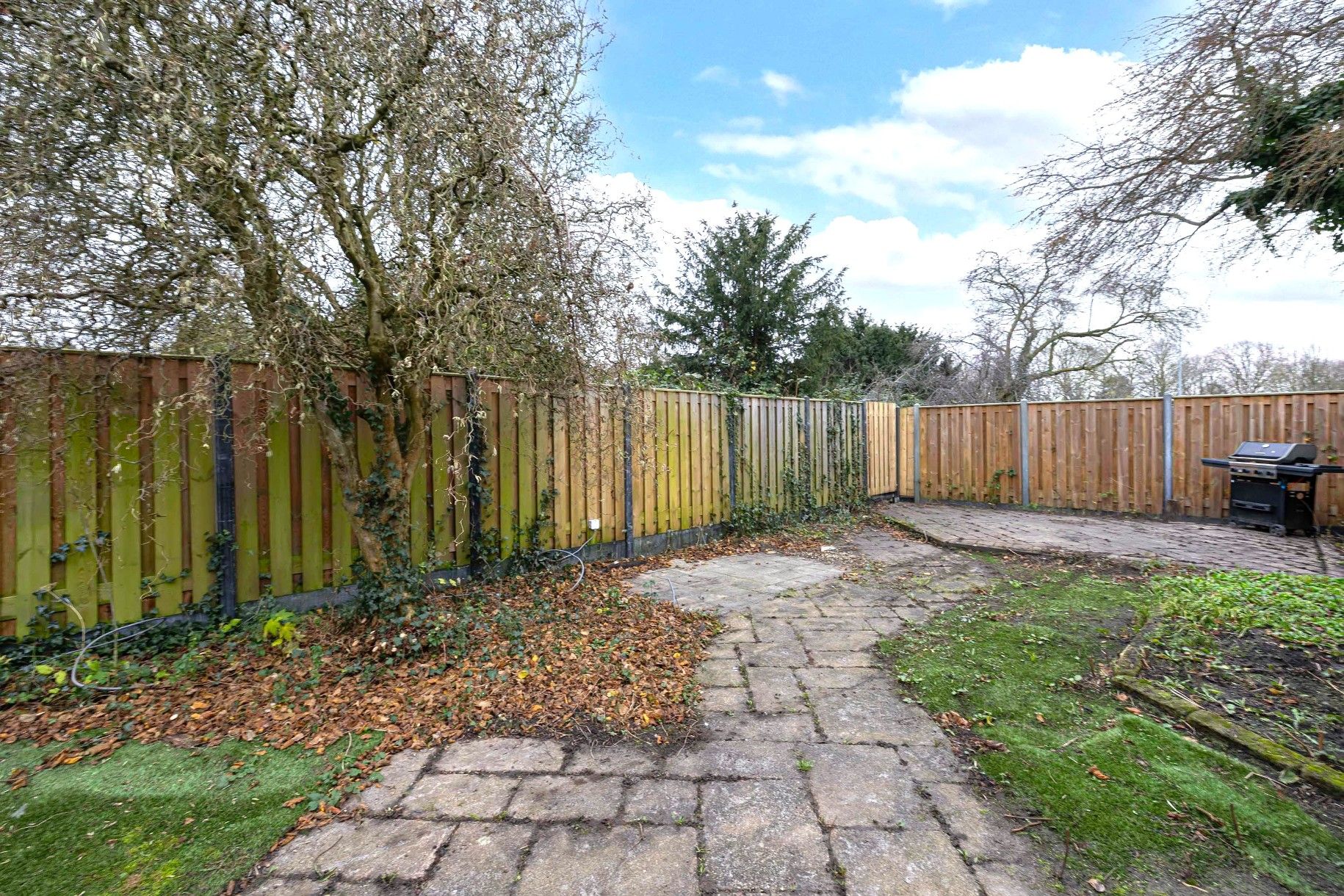 Foto 12 van Kogge 11 69