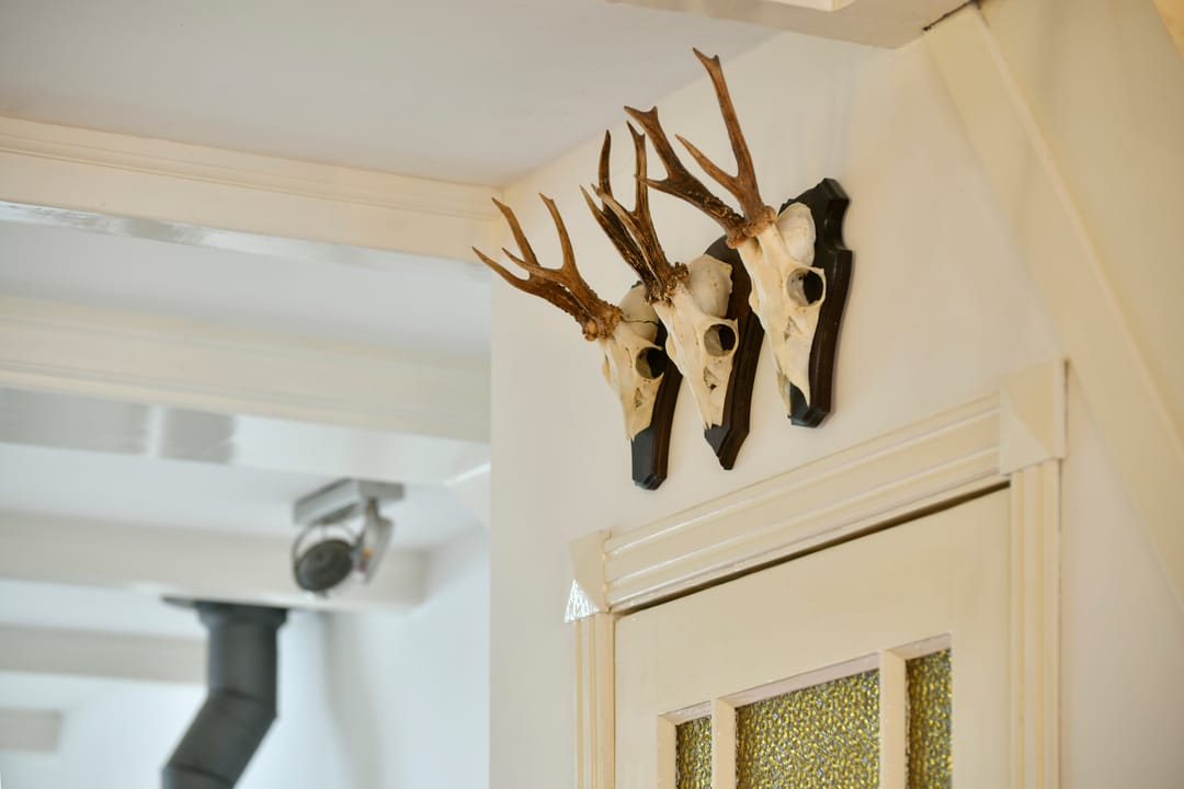 Foto 17 van Frans Halsstraat 75-2