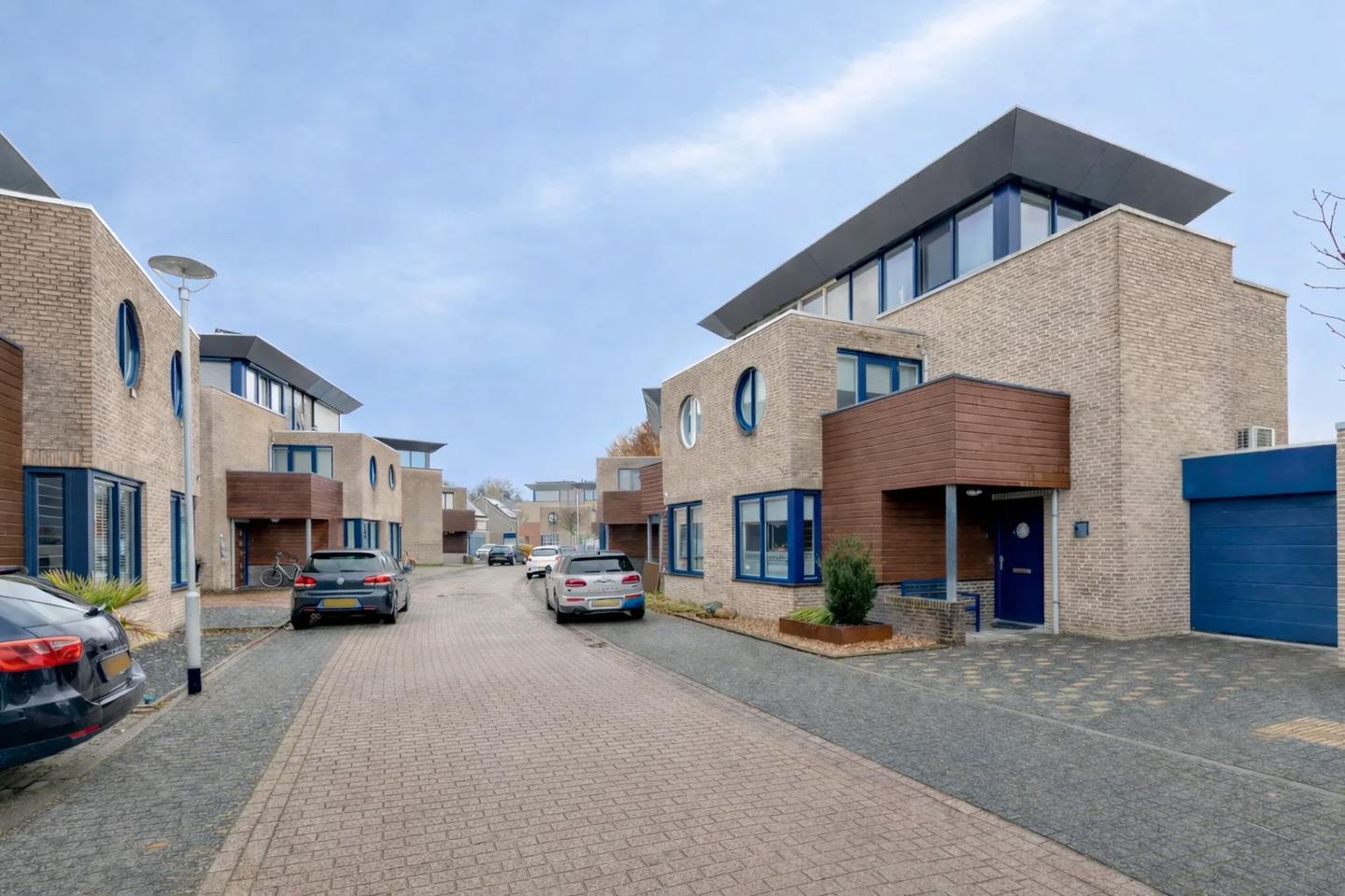 Foto 40 van Kleefkruid 4