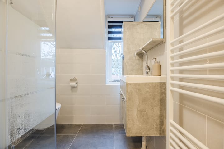 Foto 19 van Dukdalf 10